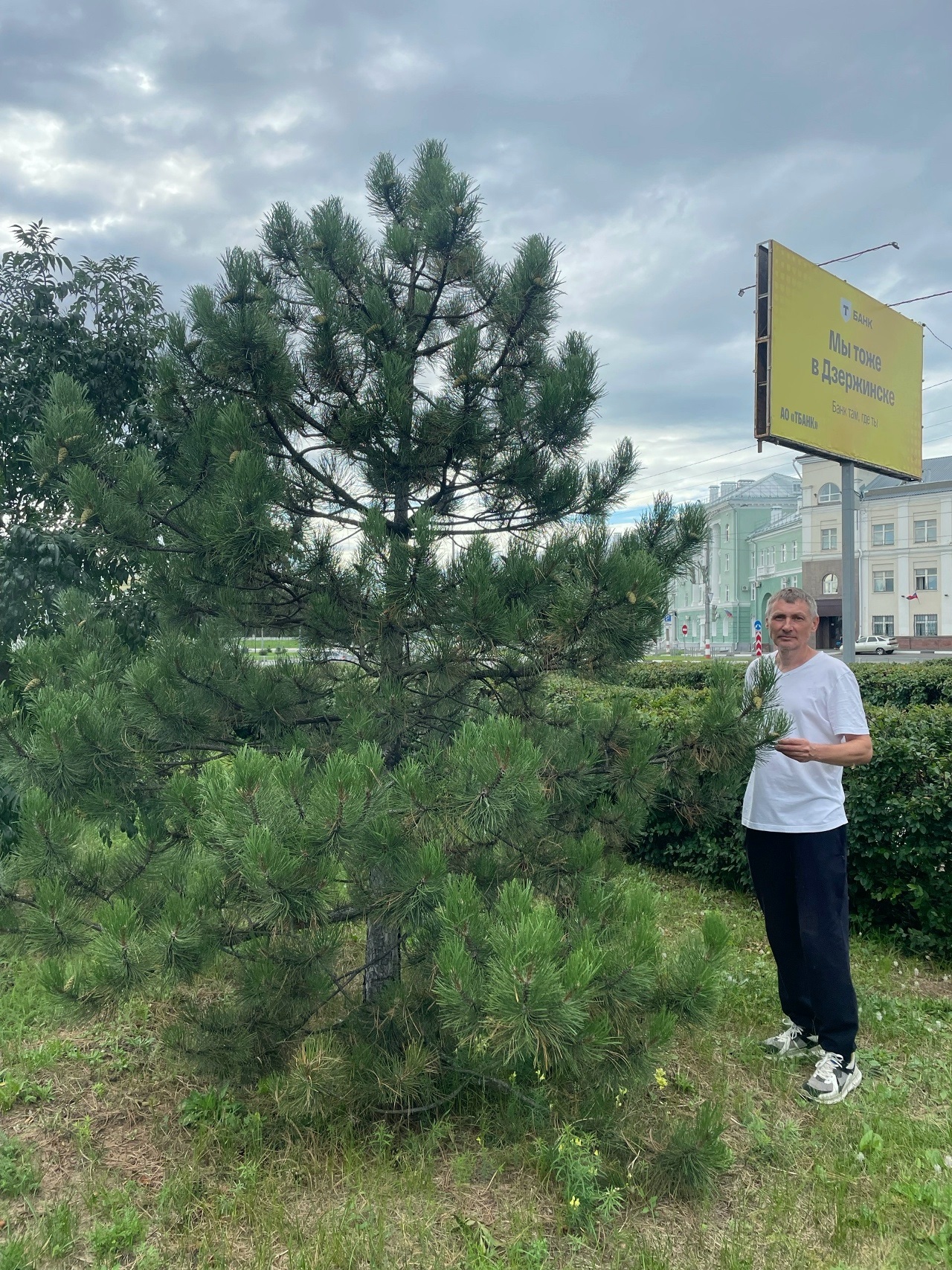 Дендролог Роман Назаров возле сосны черной в Дзержинске